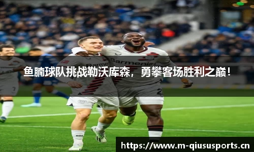 球速体育平台
