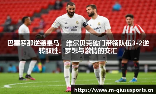 球速体育