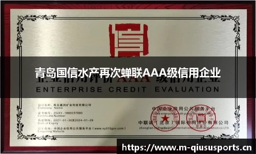 球速体育平台