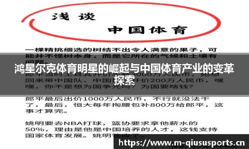 球速体育