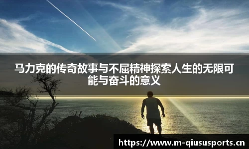 球速体育平台
