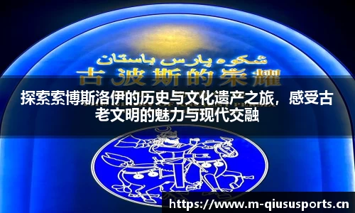 球速体育平台