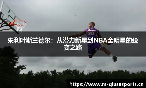 球速体育官方网站